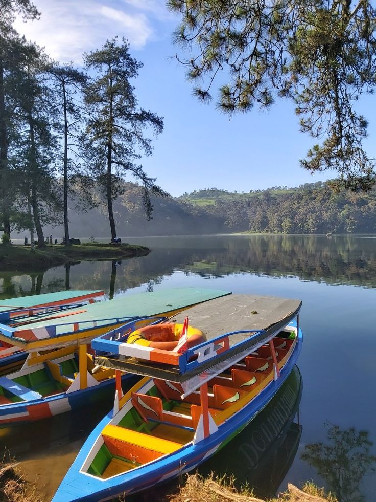 Gambar Situ Patenggang