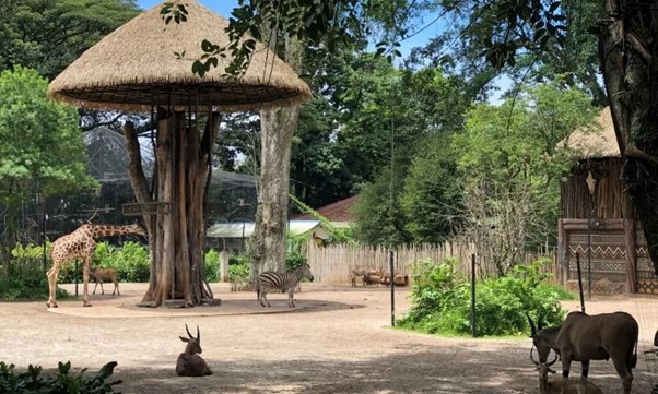 Gambar Lembang Park & Zoo